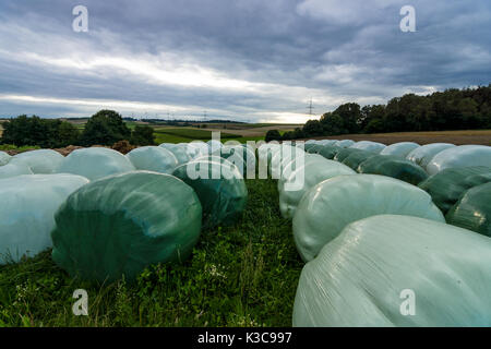 Vorbereitung für den Winter. In Kunststoff verpackt, Ballen Stroh. Stockfoto