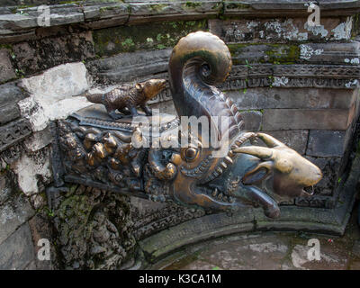 Wasser gießt aus einem Ziege Kopf ragt aus dem Maul eines Krokodils Dämon in die Naga Pokhari im Palast der 55 Fenster in Bhaktapur. Stockfoto