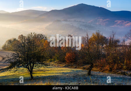 Apple Orchard in Berge im Herbst Sonnenaufgang. Bäume mit roten Laub auf frosted Gras in der Nähe der Straße am frühen Morgen. wunderschöne Landschaft landsca Stockfoto