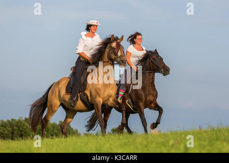 Zwei Frauen fahrt Andalusische Pferde in die Felder Stockfoto