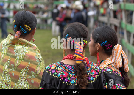 Mai 27, 2017 Sangolqui, Ecuador: indigene Frauen an einem ländlichen Rodeo in den Anden Stockfoto