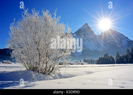 Österreich, Tirol, Ehrwalder Becken, Ehrwalder Sonnenspitze, 2412 m, Mieminger Gebirge, Stockfoto