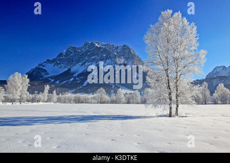 Österreich, Tirol, Ehrwalder Becken (Becken), Zugspitze (Berg), Zugspitz massiv, Stockfoto