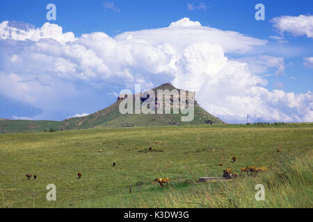 Afrika, Südafrika, KwaZulu-Natal, Grenzgebiet, Lesotho, Stockfoto