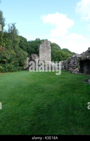 Beeston Castle, Fort, Fortification, Mittelalterlich, Rocky Crag, Bürgerkrieg, Bildung, Outcrop, Mittelalter, Parkland, Geschichte, Cheshire, England. Stockfoto