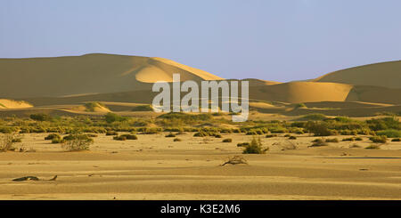 Afrika, Namibia, Erongo Region, Namib Naukluft Park, Rooibank, Walvis Bay, Mund Bereich des Kuiseb Flusses, Dünenlandschaft, Panoramabild, Stockfoto