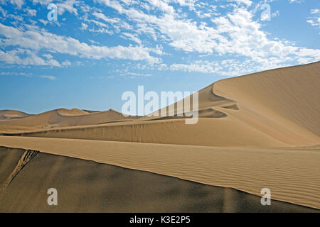 Afrika, Namibia, Wüste, Wüste Namib, Erongo Region, Dorob Nationalpark, Dünenlandschaft, Stockfoto