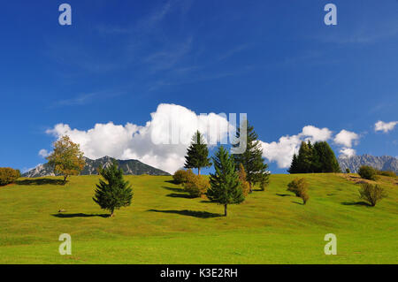 Deutschland, Bayern, Isartal, Buckelwiesen, Soiernberge, Stockfoto