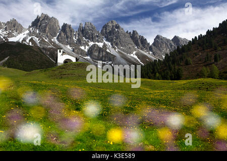 Österreich, Tirol, Kemater Alm, (M) Stockfoto