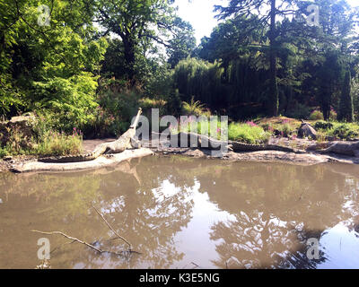 Foto muss Gutgeschrieben © Alpha Presse 066465 25/08/2018 Dinosaurier werden Statuen, die in Crystal Palace Park London Stockfoto