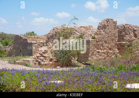 Antike Stadt Caesarea, Israel Stockfoto