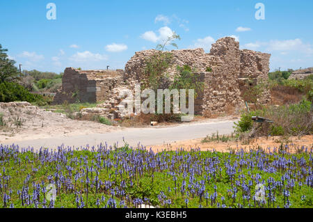 Antike Stadt Caesarea, Israel Stockfoto