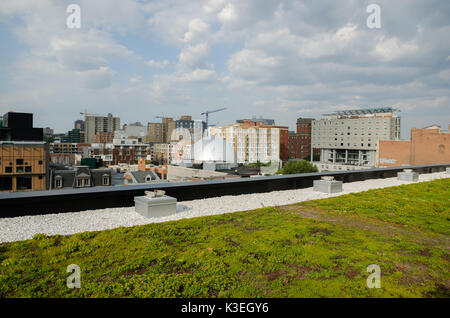 Dachterrasse Garten auf dem Dach des Zentrums für nachhaltige Entwicklung in Montreal Stockfoto