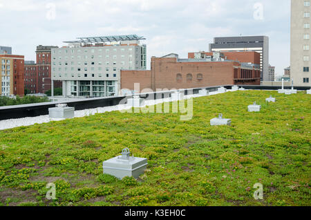 Dachterrasse Garten auf dem Dach des Zentrums für nachhaltige Entwicklung in Montreal Stockfoto