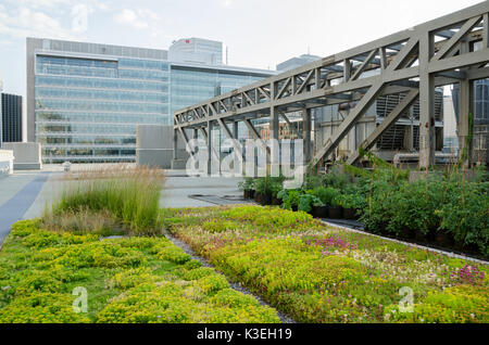 Dachgarten auf dem Dach von Montreal Palais des Congres Stockfoto