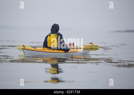 Kajak in der Bucht von Fundy in New Brunswick, Kanada. Der Mann Paddles ein Solo. Stockfoto