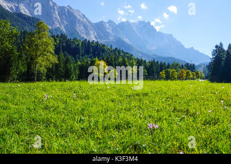 Blick auf die Zugspitze in der Nähe von Grainau, Garmisch-Partenkirchen, Bayern, Oberbayern, Deutschland Stockfoto