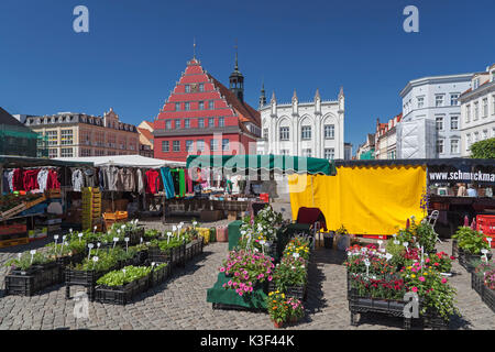 Wochenmarkt am Marktplatz hinter dem Rathaus, Hansestadt Greifswald, Vorpommern, Mecklenburg-Vorpommern, Deutschland Stockfoto