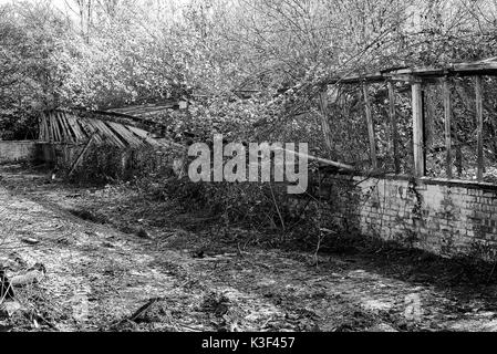 Rundown Kidby Baumschulen, wenig Clacton, Essex, in einem Zustand des Niedergangs, die Entwicklung in einer Wohnsiedlung. Stockfoto