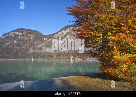 Herbst am Sylvenstein Stausee, Fallen Dorf in der Nähe von Lenggries, Oberbayern, Bayern, Deutschland Stockfoto