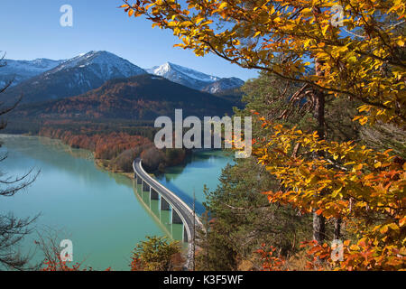 Die herbstlichen Bergwald an der Brücke am Sylvenstein Stausee, Fallen Dorf in der Nähe von Lenggries, Oberbayern, Bayern, Deutschland Stockfoto