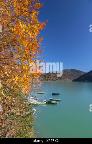 Ruderboote im Herbst am Sylvenstein Stausee, Fallen Dorf in der Nähe von Lenggries, Oberbayern, Bayern, Deutschland Stockfoto