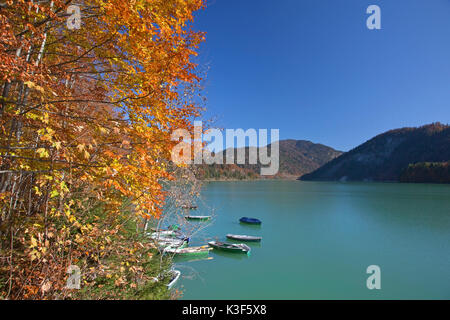 Ruderboote im Herbst am Sylvenstein Stausee, Fallen Dorf in der Nähe von Lenggries, Oberbayern, Bayern, Deutschland Stockfoto