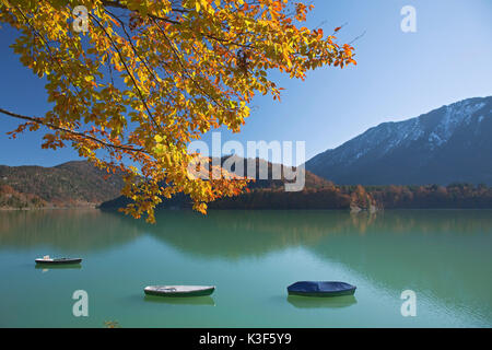 Ruderboote im Herbst am Sylvenstein Stausee, Fallen Dorf in der Nähe von Lenggries, Oberbayern, Bayern, Deutschland Stockfoto