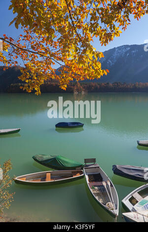 Ruderboote im Herbst am Sylvenstein Stausee, Fallen Dorf in der Nähe von Lenggries, Oberbayern, Bayern, Deutschland Stockfoto