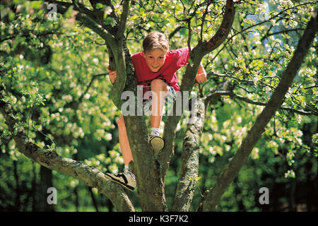 Junge klettert im Apple-tree Stockfoto