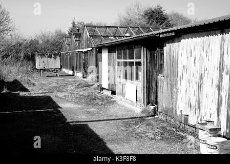 Rundown Kidby Baumschulen, wenig Clacton, Essex, in einem Zustand des Niedergangs, die Entwicklung in einer Wohnsiedlung. Stockfoto