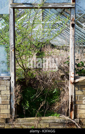 Rundown Kidby Baumschulen, wenig Clacton, Essex, in einem Zustand des Niedergangs, die Entwicklung in einer Wohnsiedlung. Stockfoto