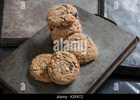 Glutenfreies Pumpkin Spice Cookies mit Walnüssen und dunkle Schokolade Stockfoto