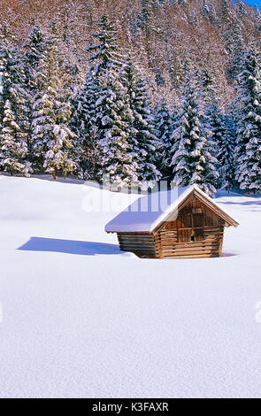 Verschneite Hütte am Rande des Waldes Stockfoto