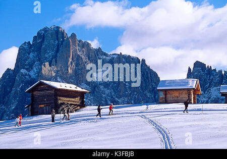 Ski Langläufer auf der Seiseralm vor Langkofel, Südtirol Stockfoto