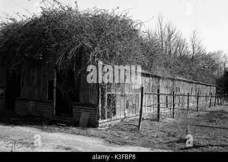 Rundown Kidby Baumschulen, wenig Clacton, Essex, in einem Zustand des Niedergangs, die Entwicklung in einer Wohnsiedlung. Stockfoto