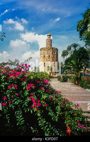 Sevilla, Torre del Oro Stockfoto