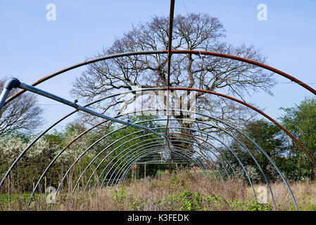 Rundown Kidby Baumschulen, wenig Clacton, Essex, in einem Zustand des Niedergangs, die Entwicklung in einer Wohnsiedlung. Stockfoto