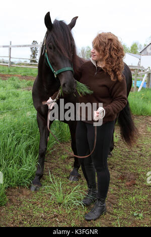 Rothaarige junge Frau im grünen Feld mit Pferd. Stockfoto
