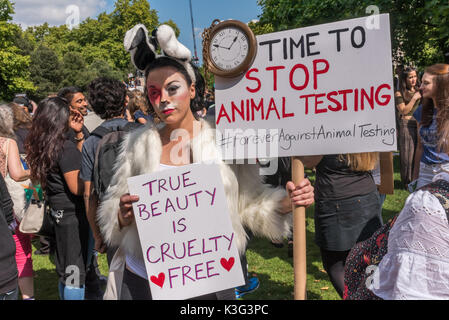 London, Großbritannien. 2. September 2017. Eine Frau in einem Hase Kostüm mit Plakaten gegen echte Tierversuche "Schönheit ist Grausamkeit Frei' zu Beginn der veganen März vom Hyde Park in London forderten ein Ende alle tierischen Unterdrückung im Jahr 2017 offizielle Tierrechte März, durch die Bewegung und HeartCure Kollektive unterstützt. Viele durchgeführt Poster oder Plakate für ein Ende zu Tieren als Nahrung oder Quellen aus der Wolle und dem Fell, und es gab einige als Tiere verkleidet. Peter Marshall / alamy Leben Nachrichten Stockfoto