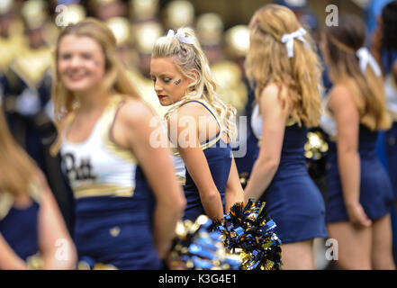 Pittsburgh, PA, USA. 2. Sep 2017. Pitt Cheerleadern während der Pitt Panthers vs Youngstown St. Pinguine Spiel am Heinz Feld in Pittsburgh, PA. Jason Pohuski/CSM/Alamy leben Nachrichten Stockfoto