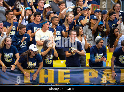 Pittsburgh, PA, USA. 2. Sep 2017. Pitt Fans während der Pitt Panthers vs Youngstown St. Pinguine Spiel am Heinz Feld in Pittsburgh, PA. Jason Pohuski/CSM/Alamy leben Nachrichten Stockfoto