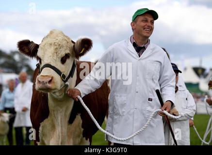Dorchester, Dorset, Großbritannien. 02 Sep, 2017. Vieh während der Grand Parade Credit: Finnbarr Webster/Alamy leben Nachrichten Stockfoto
