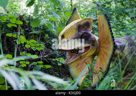 Trias Tiere Pflanzen Stockfotografie Alamy