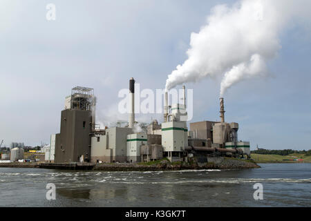 Die irving Zellstoff- und Papierfabrik in Saint John, New Brunswick, Kanada. Die Mühle steht durch die Rückfahrscheinwerfer fällt auf die Saint John River. Stockfoto