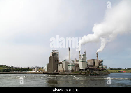 Die irving Zellstoff- und Papierfabrik in Saint John, New Brunswick, Kanada. Die Mühle steht durch die Rückfahrscheinwerfer fällt auf die Saint John River. Stockfoto