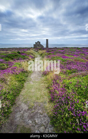 Fuß weg zu den Ruinen von Wheal Coates Mine im St Agnes Cornwall Stockfoto