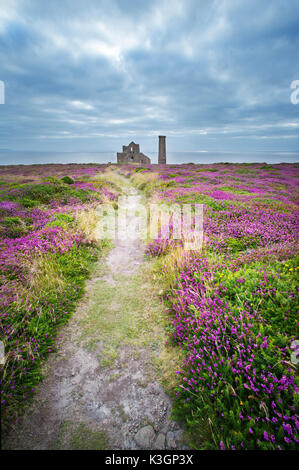 Fuß weg zu den Ruinen von Wheal Coates Mine im St Agnes Cornwall Stockfoto