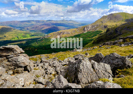 Beddgelert Wald und Moel Hebog in Snowdonia, North Wales, UK Stockfoto