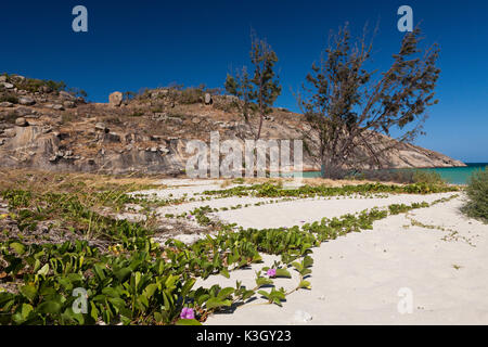 Lizard Island National Park, Great Barrier Reef, Australien Stockfoto